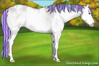 Horse Color:Painted White Spotted Chocolate Silver Grullo Chinchilla Onyx Splash Rabicano 