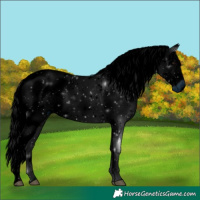 Horse Color:ERROR: UNKNOWN ANOMALY