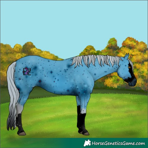 Horse Color:ERROR: UNKNOWN ANOMALY