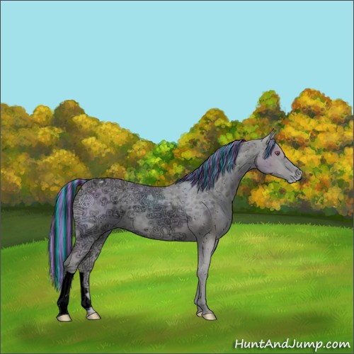 Horse Color:ERROR: UNKNOWN ANOMALY