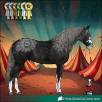 Horse Color:Liver Chestnut Ice Mushroom