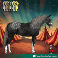 Horse Color:Liver Chestnut Ice Mushroom 