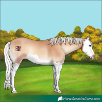 Horse Color:Silver Classic Champagne Onyx Splash