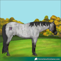 Horse Color:Midnight Blue Onyx Roan