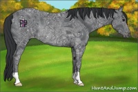 Horse Color:Black Ice Varnish Rabicano 