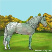 Horse Color:Watercolor Silver Brown Ice 
