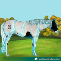 Horse Color:Thunderstruck Silver Blue Onyx Roan Splash Rabicano 