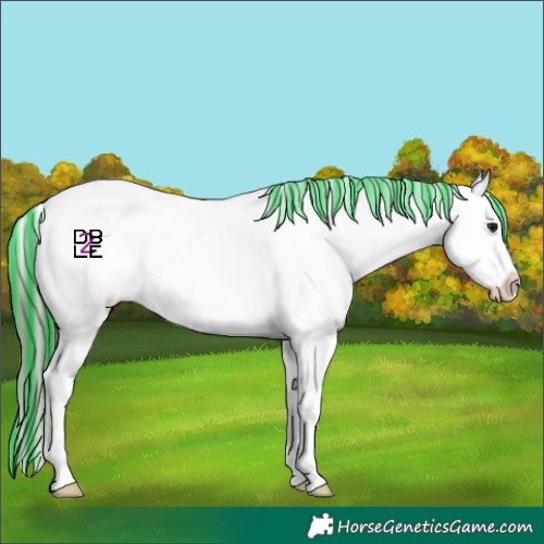 Horse Color:Platinum Painted Brown Dun Sabino Blanket