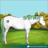 Horse Color:Platinum Painted Brown Dun Sabino Appaloosa 