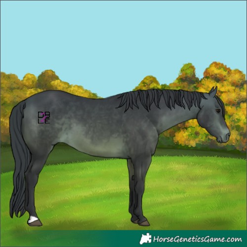 Horse Color:Platinum Bay 