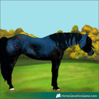 Horse Color:ERROR: UNKNOWN ANOMALY