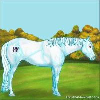 Horse Color:Thunderstruck White Spotted Silver Bay Chinchilla Roan Pearl Varnish Rabicano 
