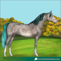 Horse Color:Painted Brown Ice Dun Mushroom 