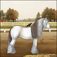 Horse Color:White Spotted Bay Dun Varnish 