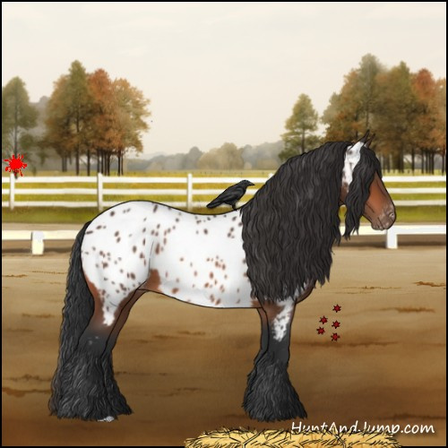 Horse Color:Bay Near Leopard