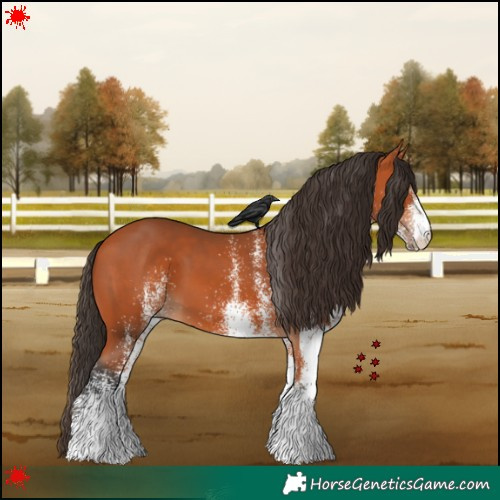 Horse Color:White Spotted Bay 