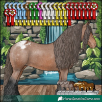 Horse Color:Bay Appaloosa