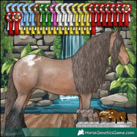 Horse Color:Bay Appaloosa 