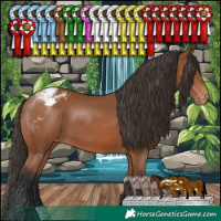 Horse Color:Bay Blanket