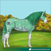 Horse Color:Watercolor Brown Ice Splash