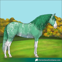 Horse Color:Watercolor Brown Ice Splash 
