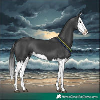 Horse Color:Black Splash 