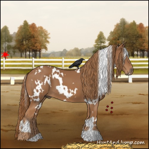 Horse Color:White Spotted Chestnut 
