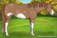 Horse Color:Red Roan Splash Frame 