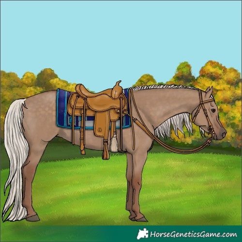 Horse Color:Silver Grullo 