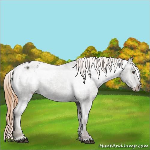 Horse Color:Midnight Red Dun Ice Sabino Varnish Rabicano