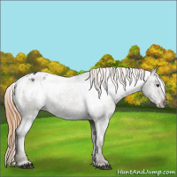 Horse Color:Midnight Red Dun Ice Sabino Varnish Rabicano 
