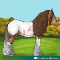 Horse Color:Brown Ice Pearl Tobiano Appaloosa 