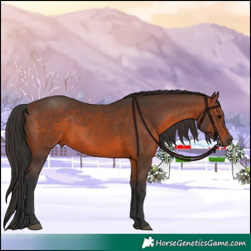 Horse Color:Brown 