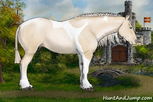 Horse Color:Palomino Pearl Tobiano 