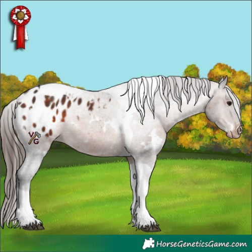 Horse Color:White Spotted Brown Tobiano Blanket Rabicano 