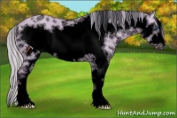 Horse Color:Void Watercolor White Spotted Silver Classic Champagne Roan Dun Frame 