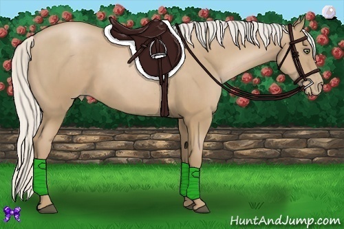 Horse Color:Silver Black Pearl 