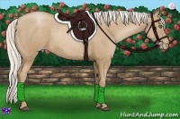 Horse Color:Silver Black Pearl 