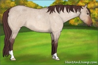Horse Color:Chocolate Brown Roan Dun 