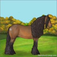Horse Color:Buckskin 