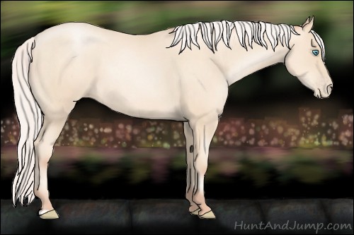 Horse Color:Silver Amber Cream Champagne Pearl 
