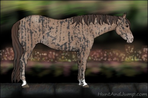 Horse Color:Black  and Classic Champagne 