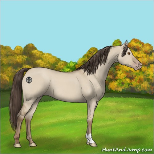 Horse Color:Classic Champagne Dun 