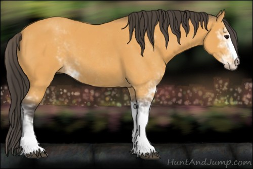 Horse Color:Buckskin Sabino