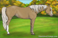 Horse Color:Silver Smoky Black 