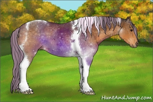 Horse Color:Painted Buckskin Tobiano 