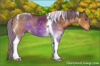 Horse Color:Painted Buckskin Tobiano