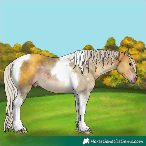 Horse Color:Silver Brown Tobiano 