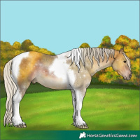 Horse Color:Silver Brown Tobiano 