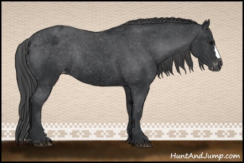 Horse Color:Black Varnish Rabicano 